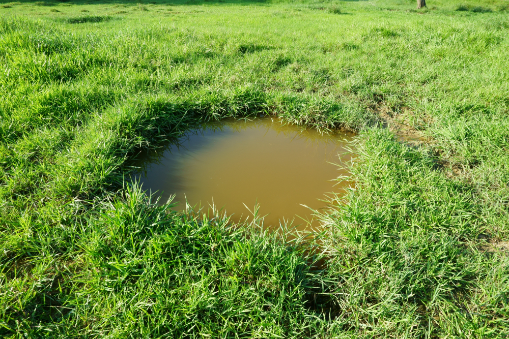Do You Need Septic Repair In Granite Falls? Know The Signs Of Trouble!