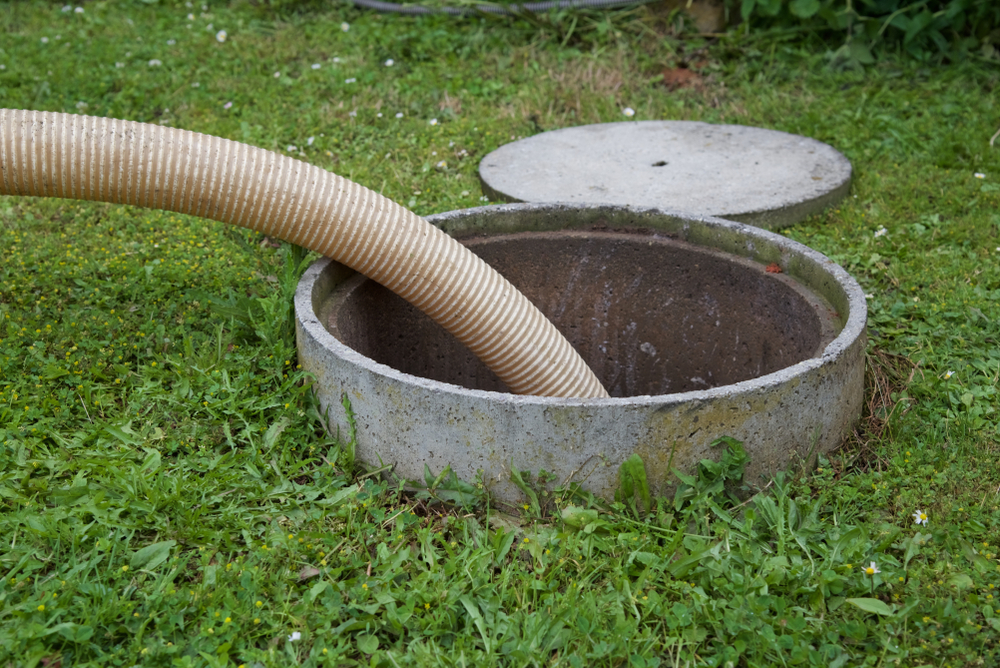 Do You Need Septic Service in Woodinville? Here Are Some Signs You Might