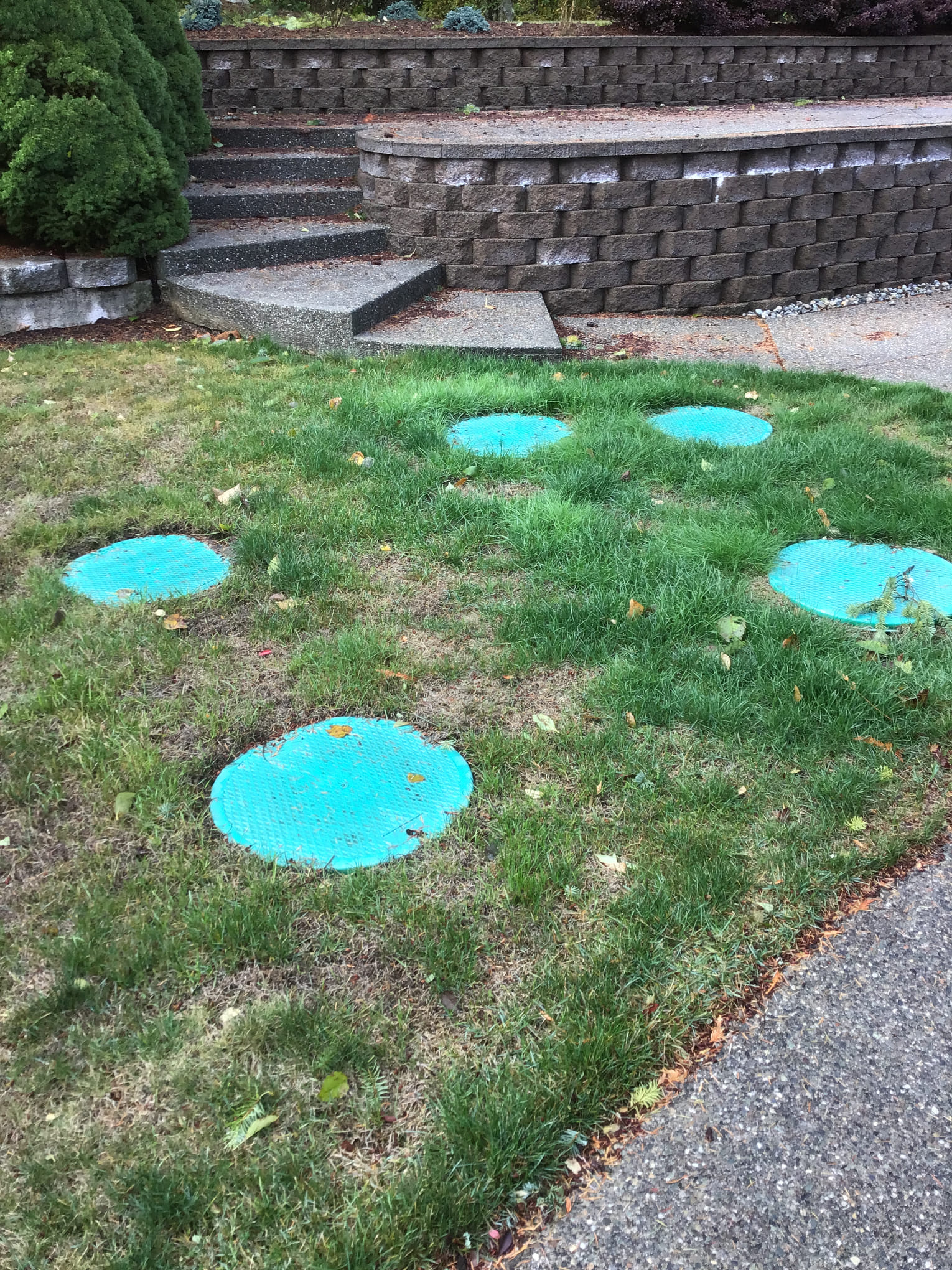 Septic Inspection in Woodinville